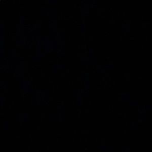 Meet your Posher, Aezlynn